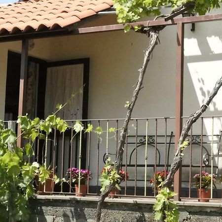 Casa vacanza Etna Evergreen Villa Piedimonte Etneo Exterior foto