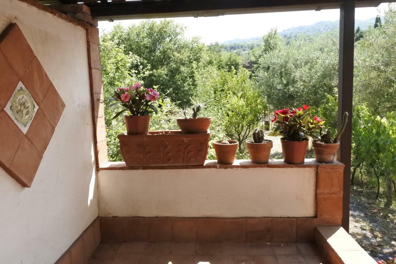 Casa vacanza Etna Evergreen Villa Piedimonte Etneo Exterior foto